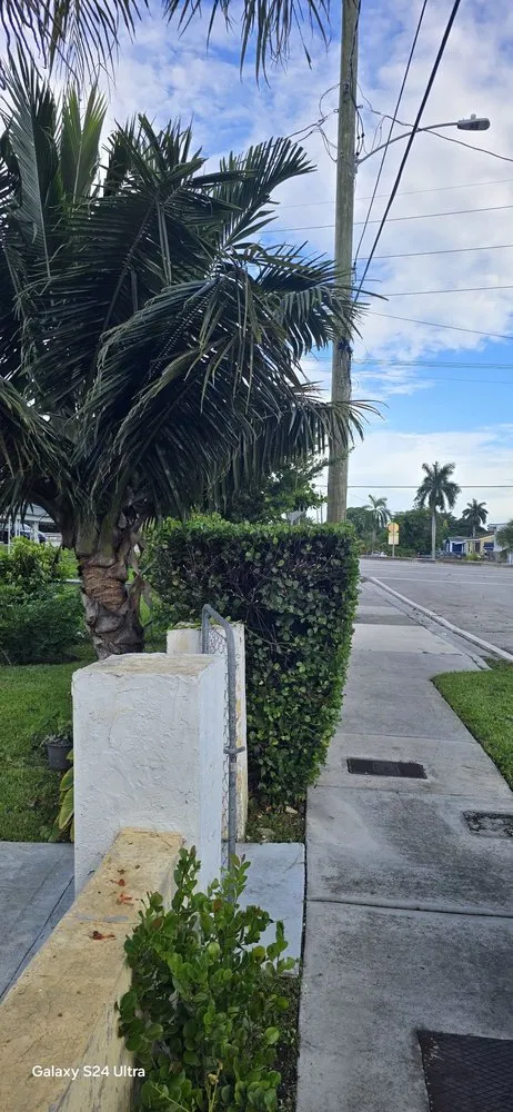 Local landscape installation in Miami, FL by G&A Green World