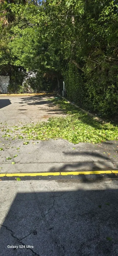 Affordable garden landscaping experts serving Miami, FL - G&A Green World