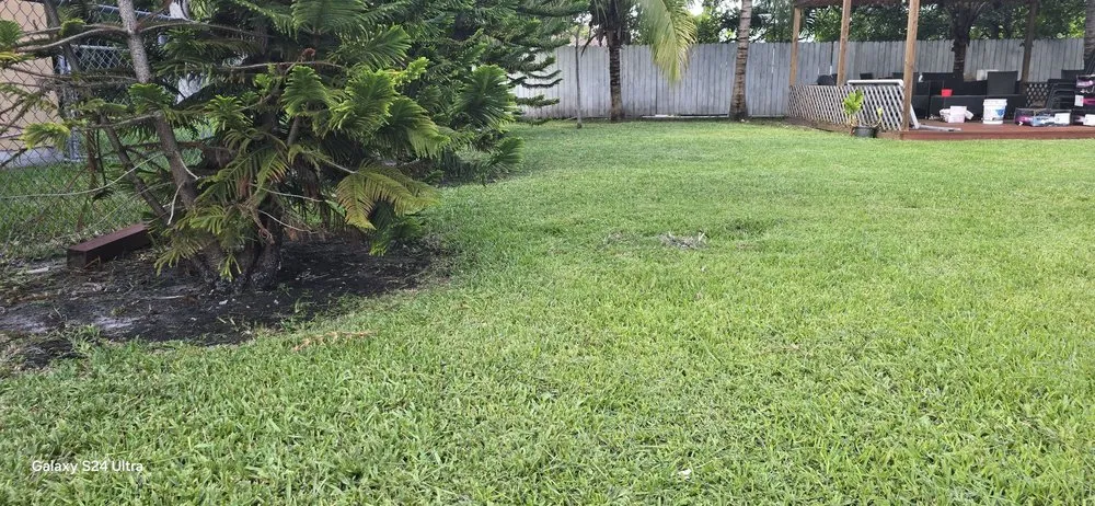 Professional yard cleanup service experts serving Miami, FL - G&A Green World