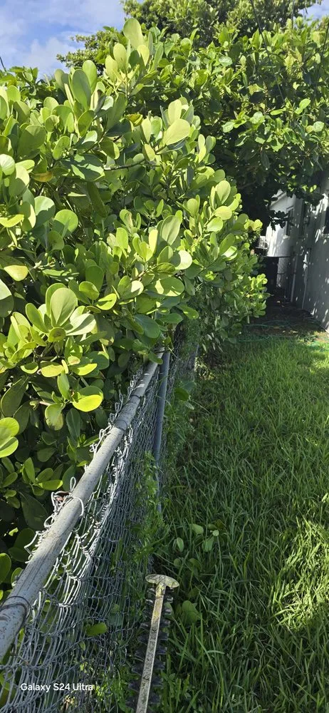 Affordable lawn mowing service in Miami, FL by G&A Green World