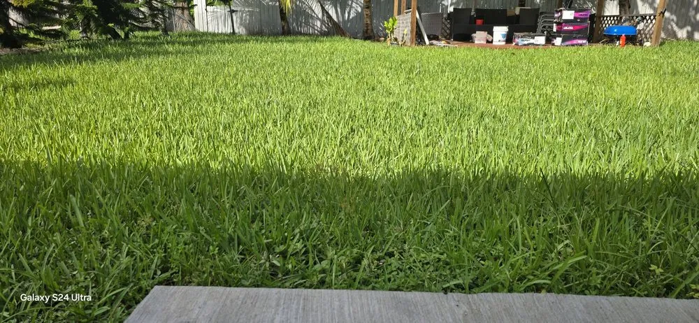 Top-rated lawn mowing service for outdoor upgrades in Miami, FL by G&A Green World