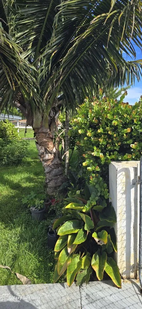 Affordable outdoor landscaping for beautiful yards across Miami, FL - G&A Green World