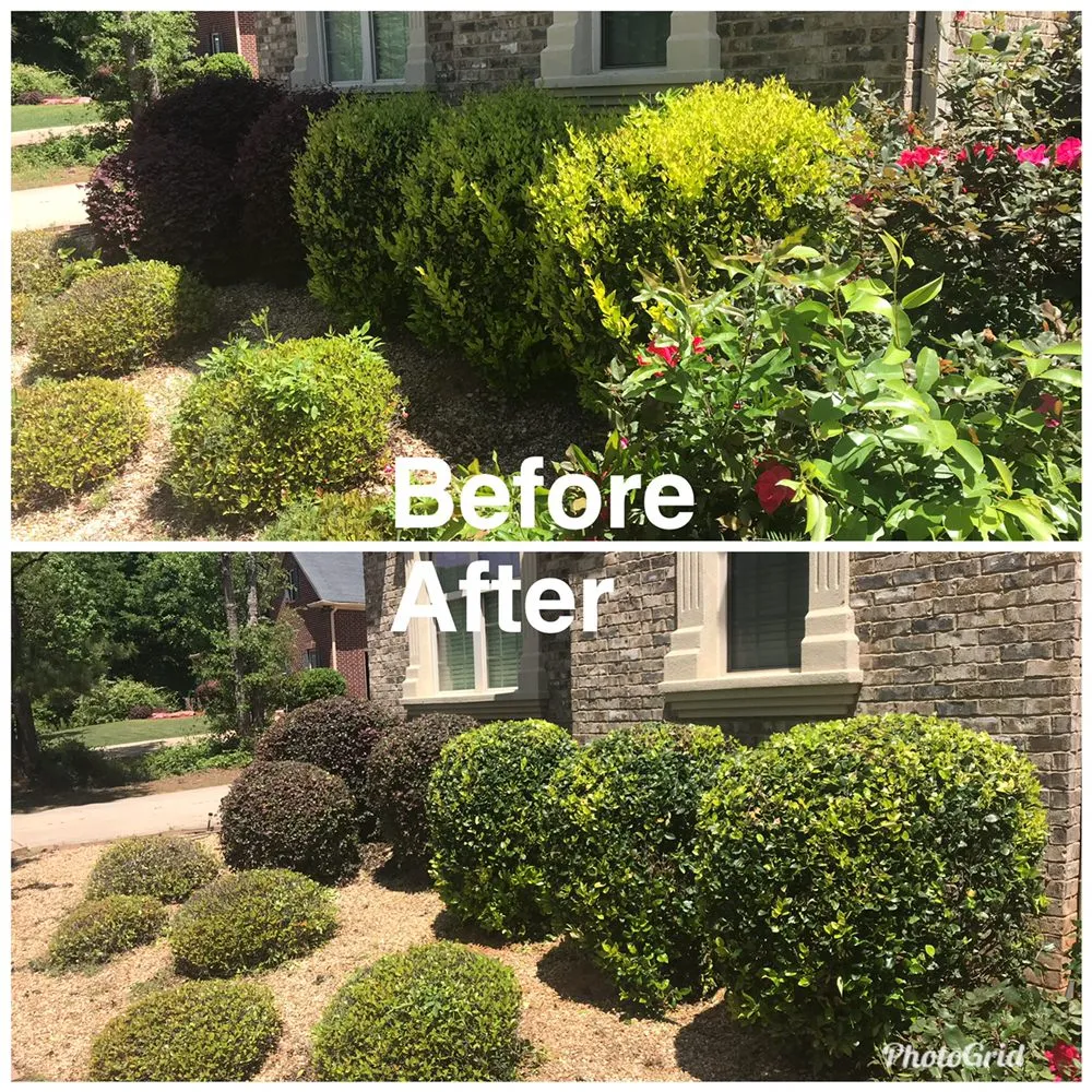 Expert lawn mowing service for residential properties across Locust Grove, GA - G&A Lawn Care