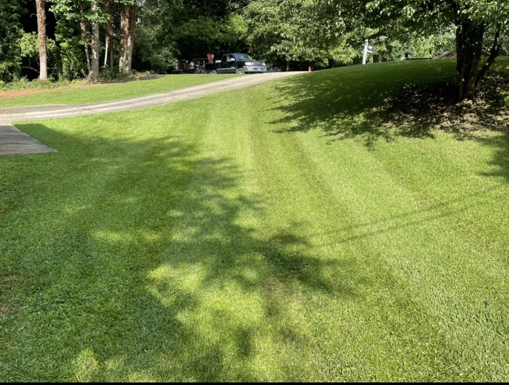 Expert yard cleanup service experts serving Mableton, GA - GA lawn care services