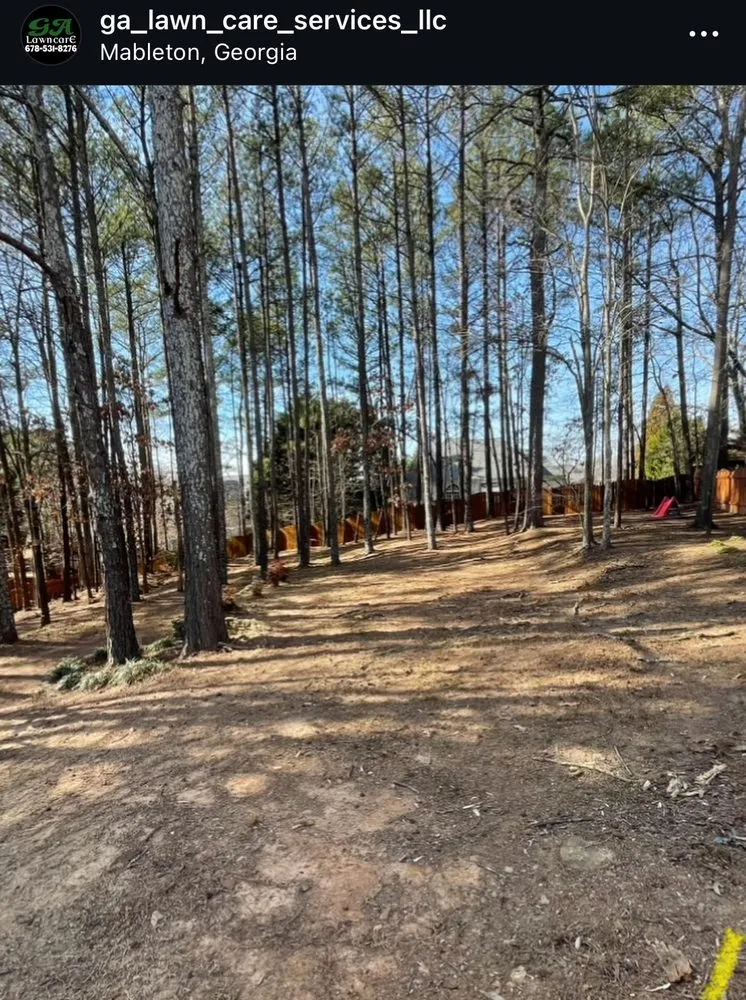 Local landscape design for homes in Mableton, GA by GA lawn care services
