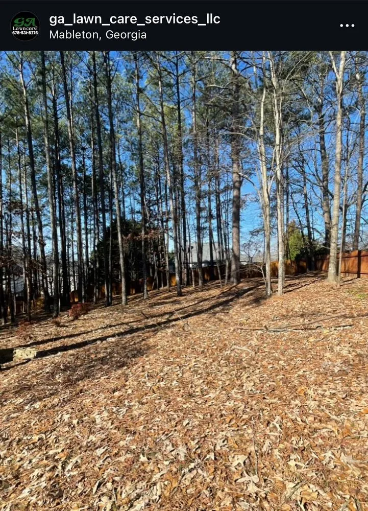 Affordable landscape design in Mableton, GA by GA lawn care services