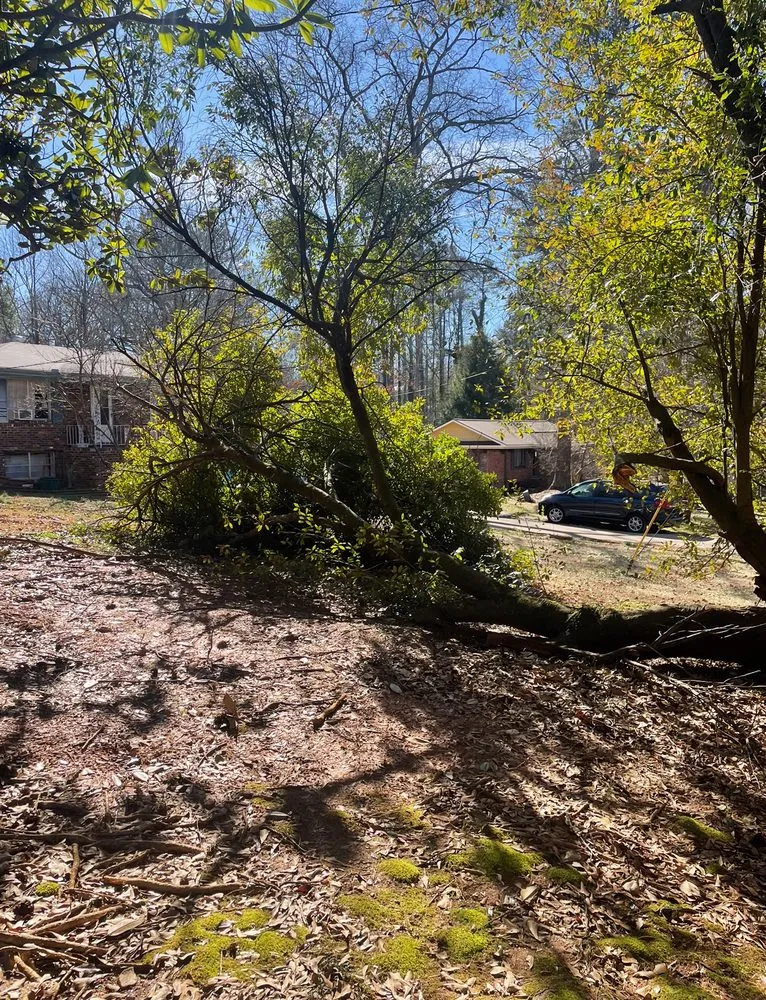 Custom residential landscaping near you across Mableton, GA - GA lawn care services