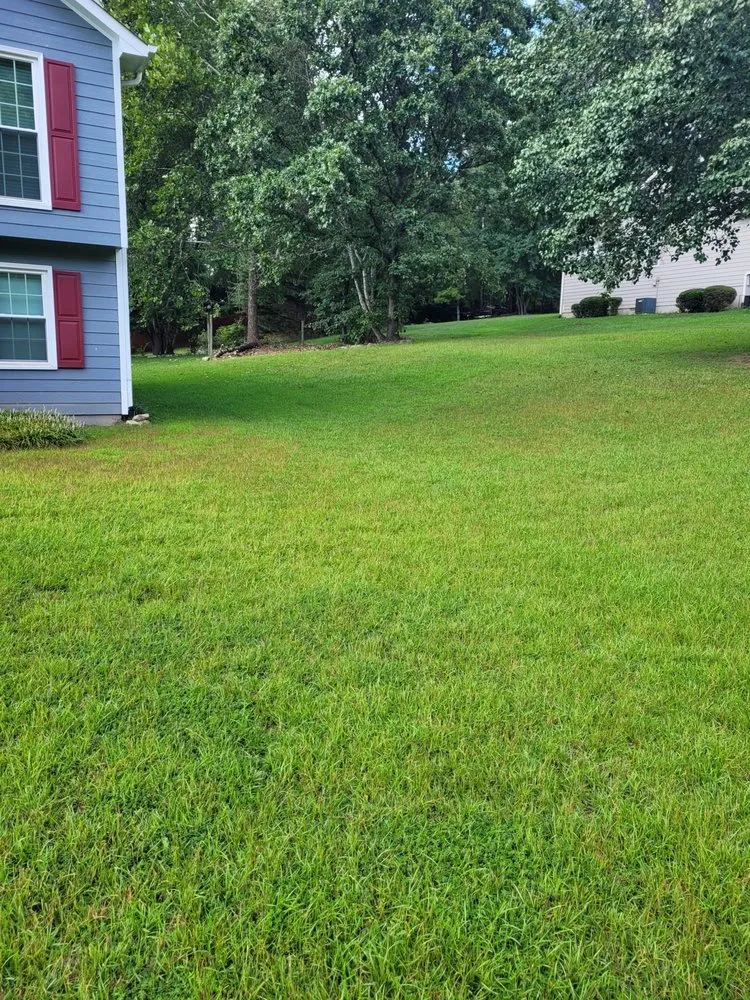 Trusted outdoor landscaping in Maysville, GA - Ga Lawn Monsters