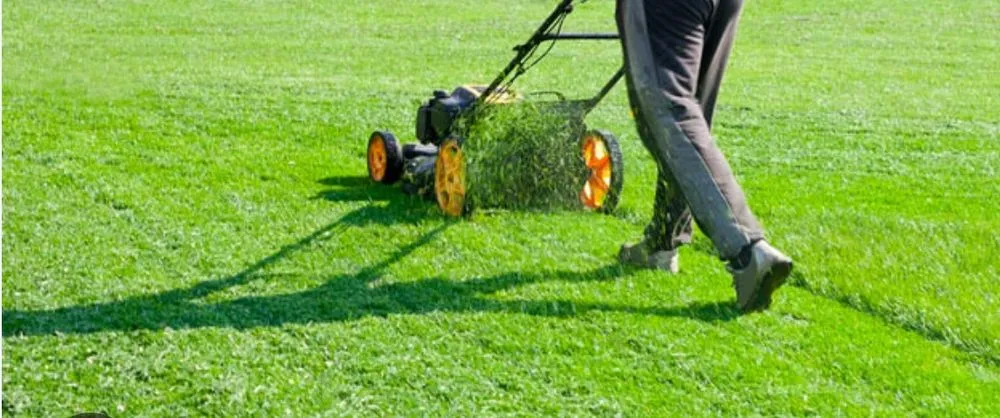 Affordable lawn care service for beautiful yards in Henagar, AL by G&A Lawn Service