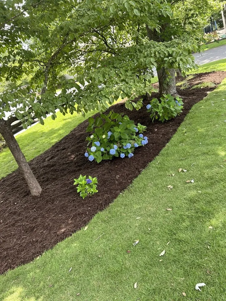 Professional outdoor landscaping in Canton, GA - Ga Lawn Services