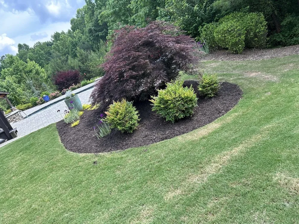 Reliable yard maintenance in Canton, GA - Ga Lawn Services