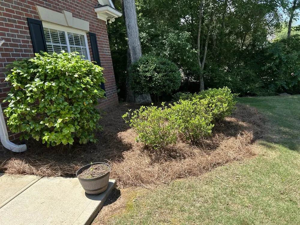 Professional lawn mowing service for year-round maintenance in Canton, GA by Ga Lawn Services