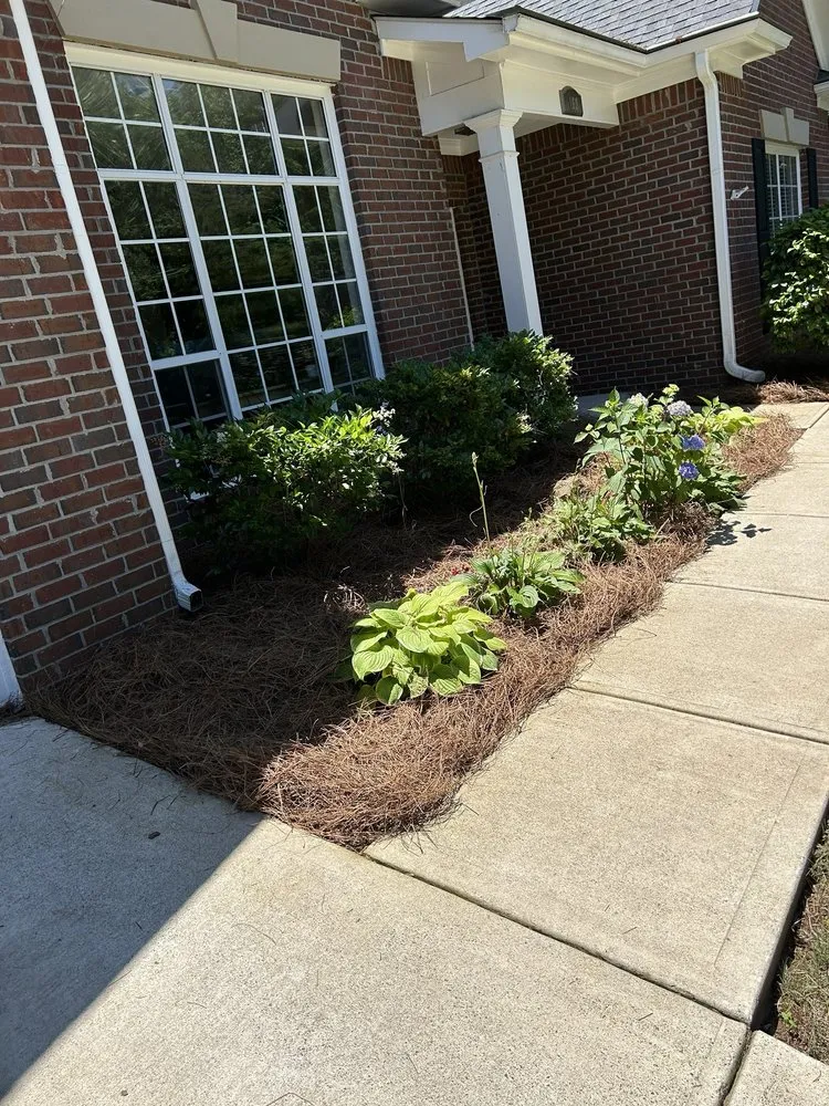 Local outdoor landscaping in Canton, GA by Ga Lawn Services