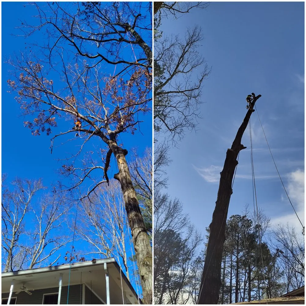 Custom lawn mowing service experts serving Lawrenceville, GA - G&A South Trees and Lawn Service