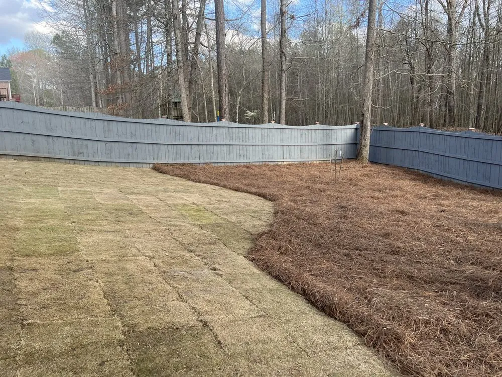 Expert yard cleanup service experts serving Douglasville, GA - GA Supreme Landscaping