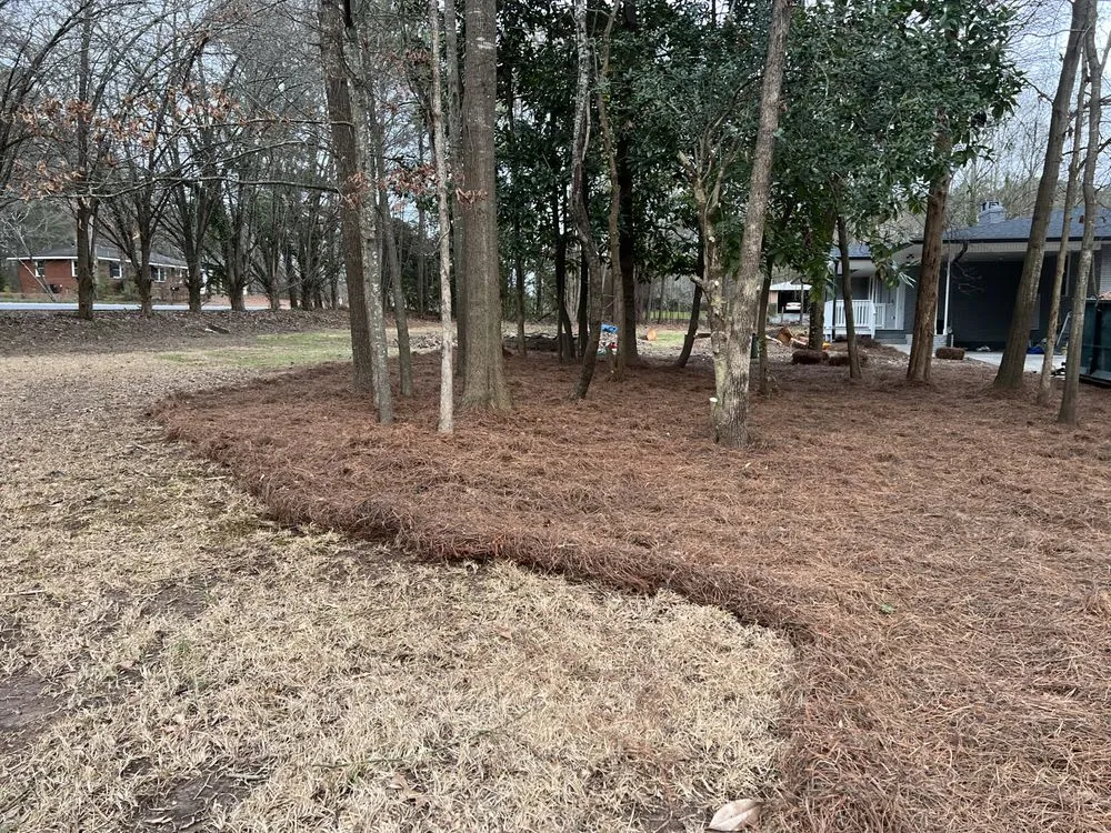 Trusted garden landscaping experts serving Douglasville, GA - GA Supreme Landscaping