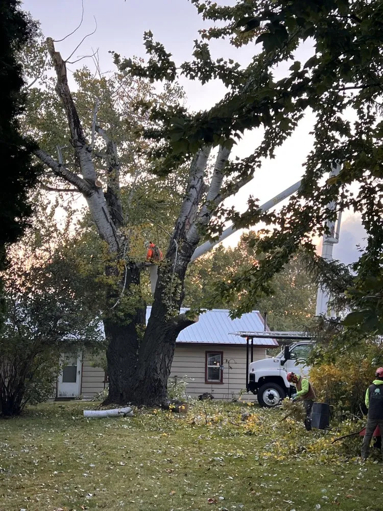Professional lawn care service experts serving Benton City, WA - GA Tree and Yard Service
