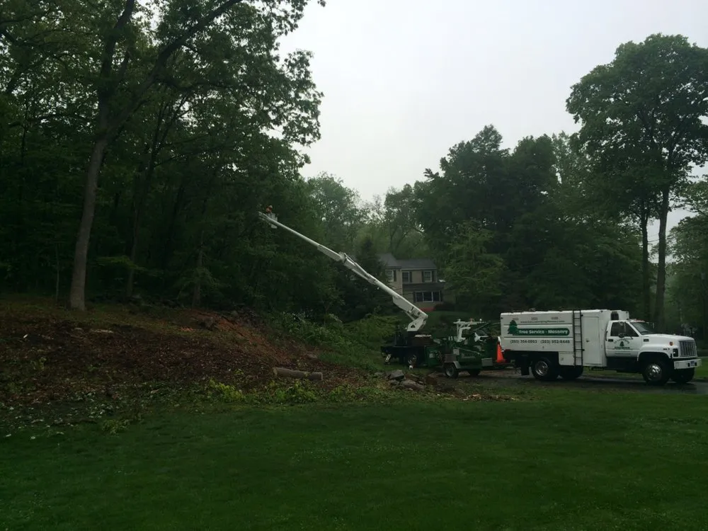 Expert lawn mowing service in Norwalk, CT - GA Tree Service