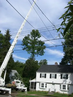 Custom landscape installation in Norwalk, CT - GA Tree Service