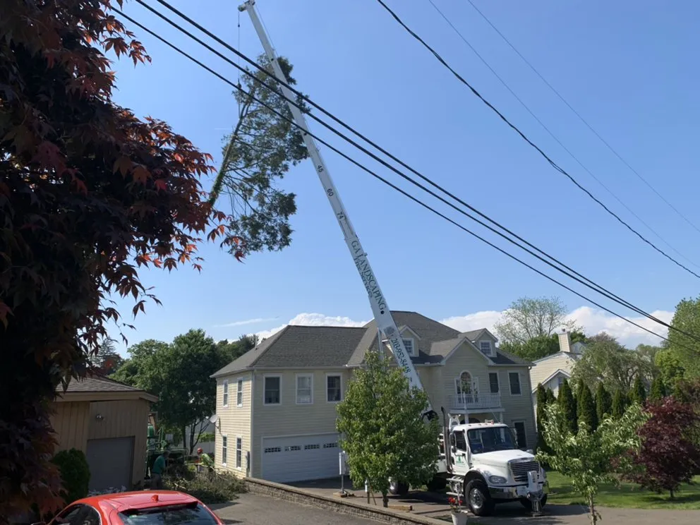 Top-rated landscape design for residential properties across Norwalk, CT - GA Tree Service