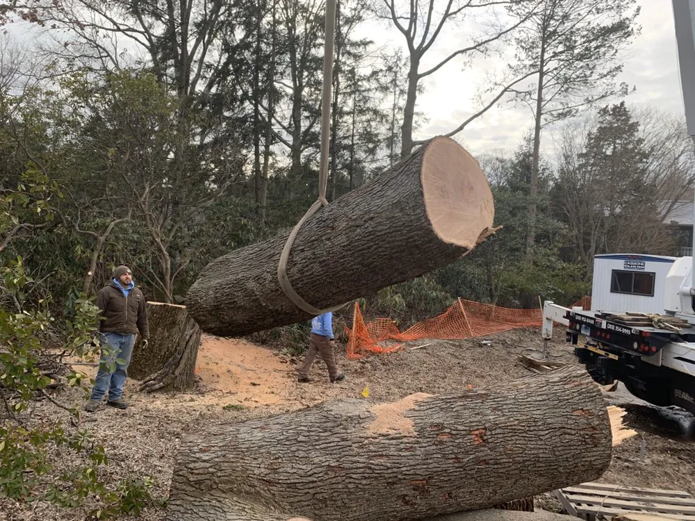 Top-rated landscaping services for beautiful yards in Norwalk, CT by GA Tree Service