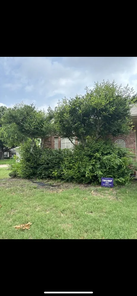 Reliable landscape design for homes across Fort Worth, TX - Gabe Scapes