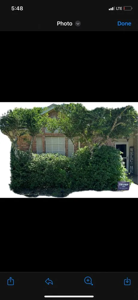 Top-rated landscape installation experts serving Fort Worth, TX - Gabe Scapes