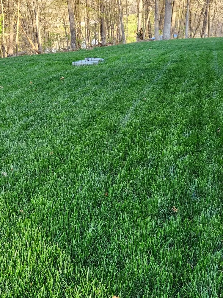 Affordable landscaping services in Rushville, IL - Gabella Farm