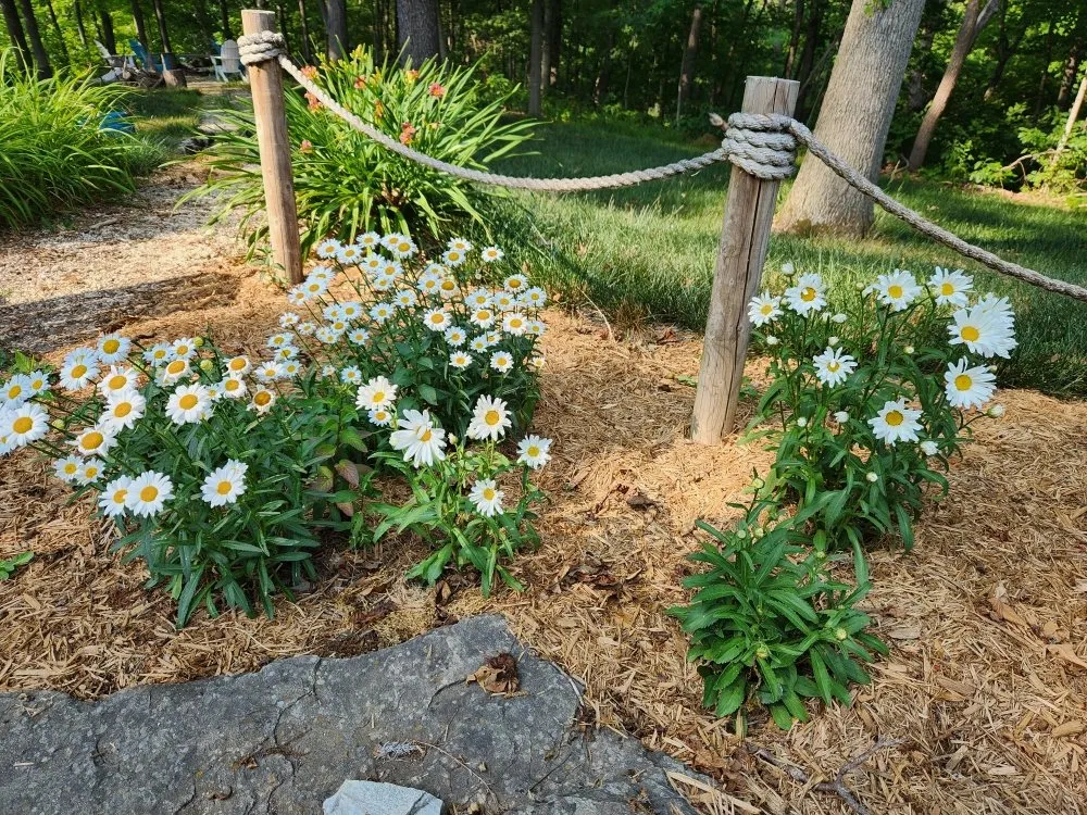 Expert yard maintenance in Rushville, IL - Gabella Farm