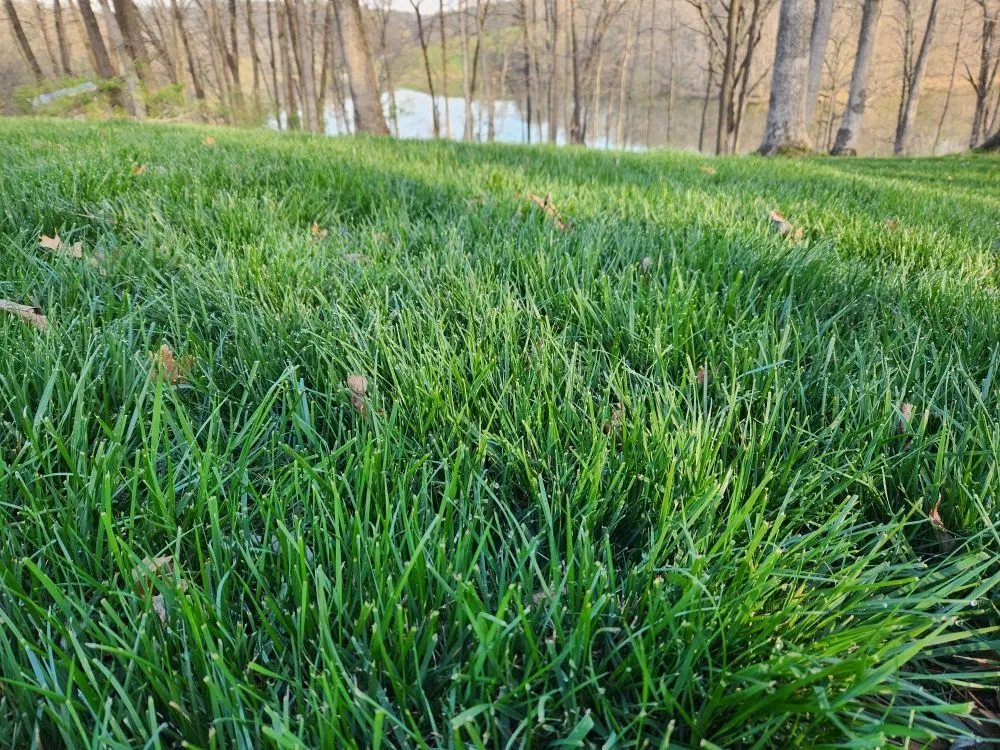 Trusted yard maintenance near you in Rushville, IL by Gabella Farm