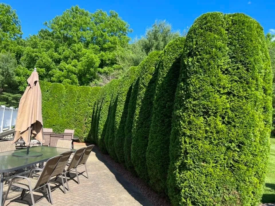 Custom landscape installation in Poughkeepsie, NY - Gabe's Landscaping