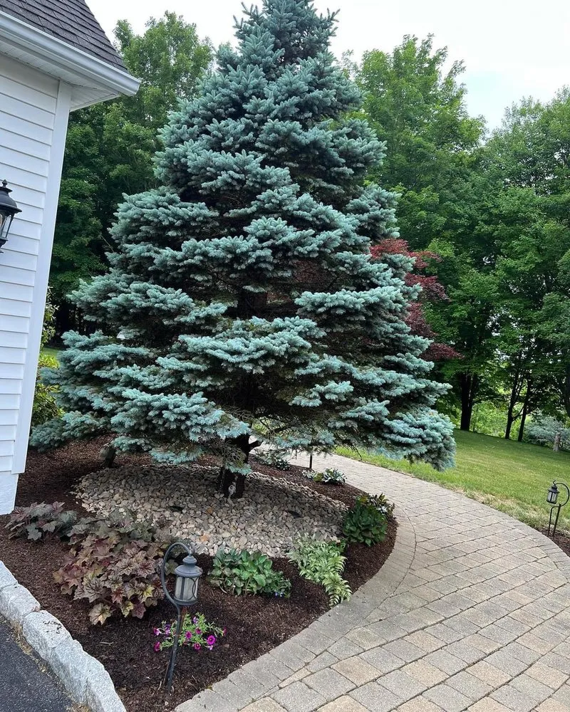 Local lawn mowing service in Poughkeepsie, NY - Gabe's Landscaping