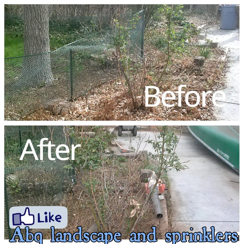 Affordable landscape installation experts serving Albuquerque, NM - Gabe's Landscaping Services