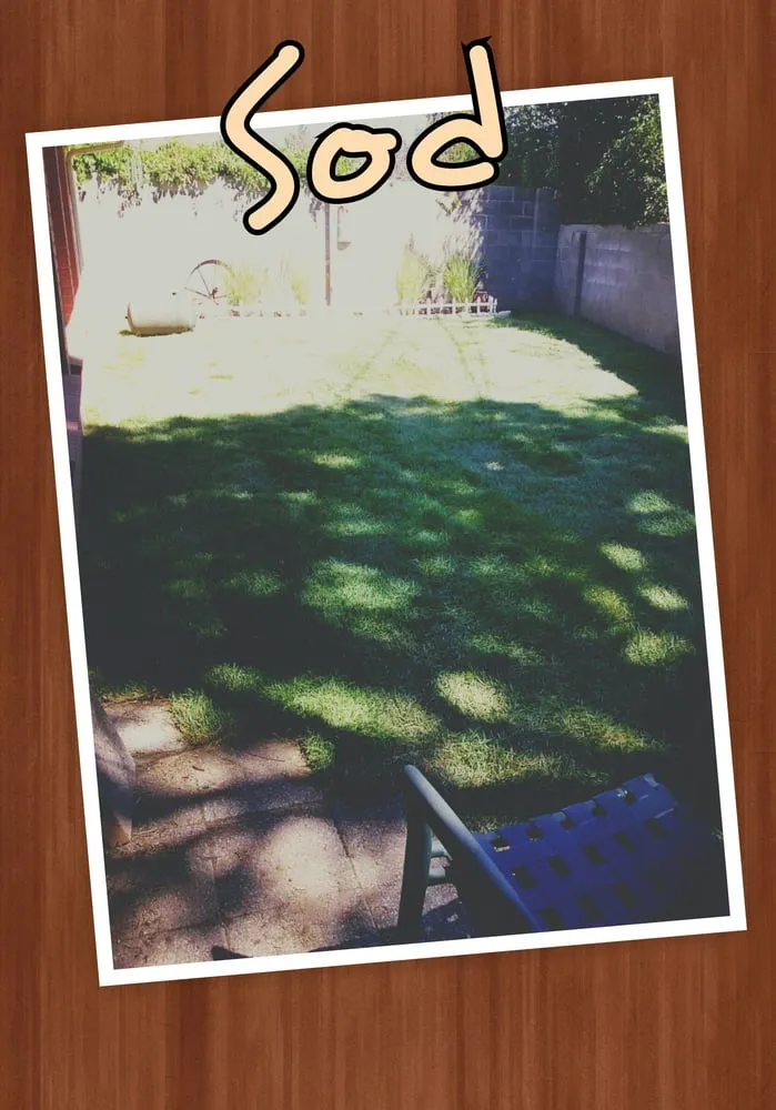 Reliable landscape installation in Albuquerque, NM - Gabe's Landscaping Services