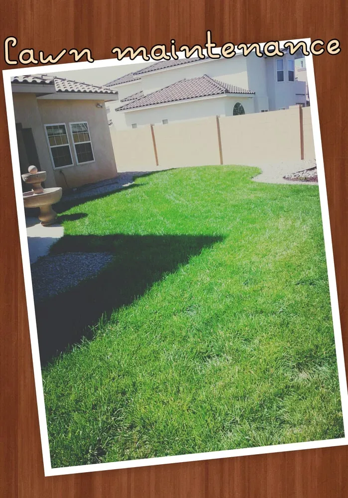 Professional residential landscaping for beautiful yards in Albuquerque, NM by Gabe's Landscaping Services