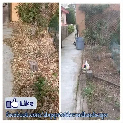 Gabe's Landscaping Services Logo