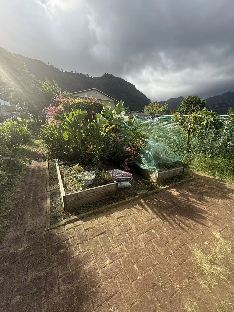 Local yard cleanup service for homes across Waianae, HI - Gabes Landscaping