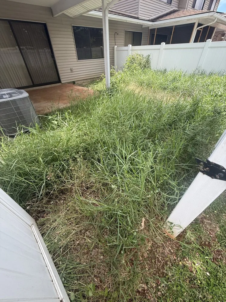 Top-rated lawn care service experts serving Waianae, HI - Gabes Landscaping