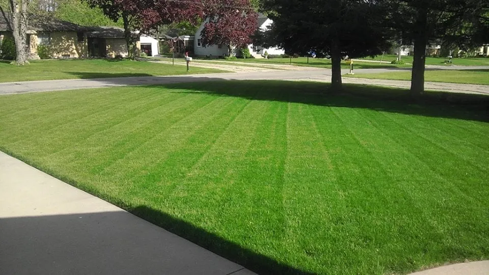 Affordable residential landscaping in Land O' Lakes, FL by Gabe's Lawn Cuts