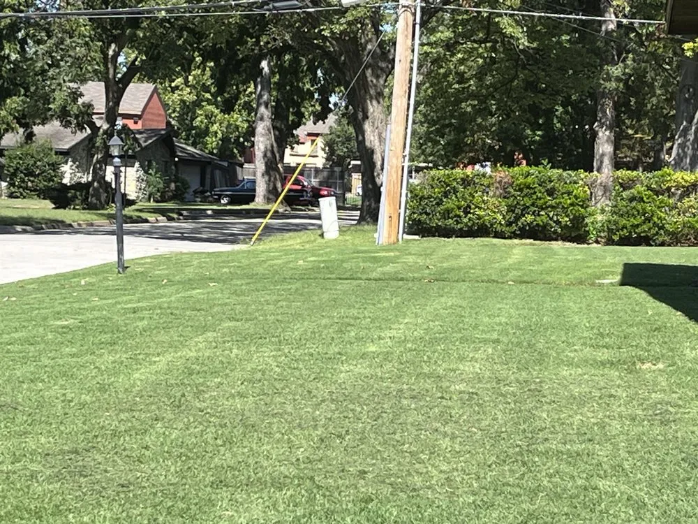 Expert yard cleanup service in Tulsa, OK by Gabe's Lawn Service