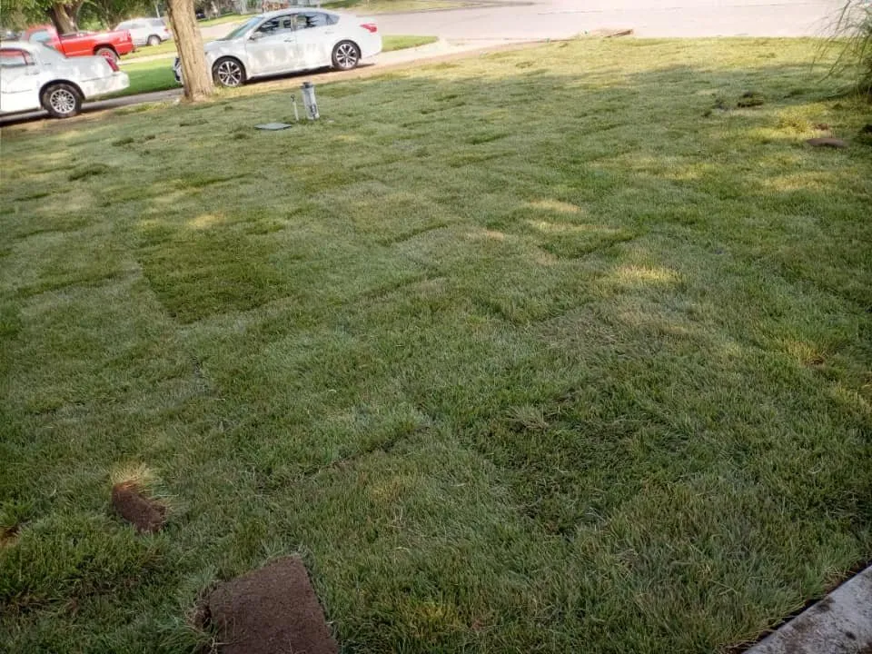 Custom landscape installation in Wichita, KS by Gabe's Sprinkler Systems