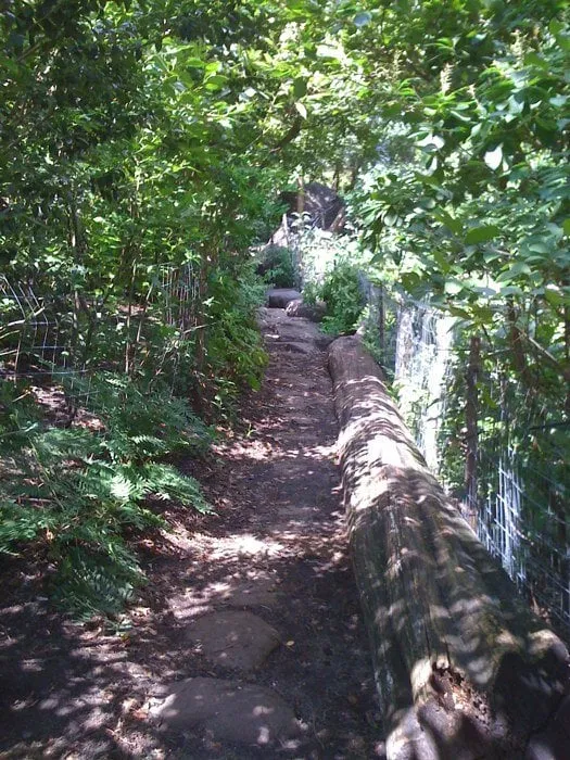 Trusted yard cleanup service in Wichita, KS - Gabe's Sprinkler Systems