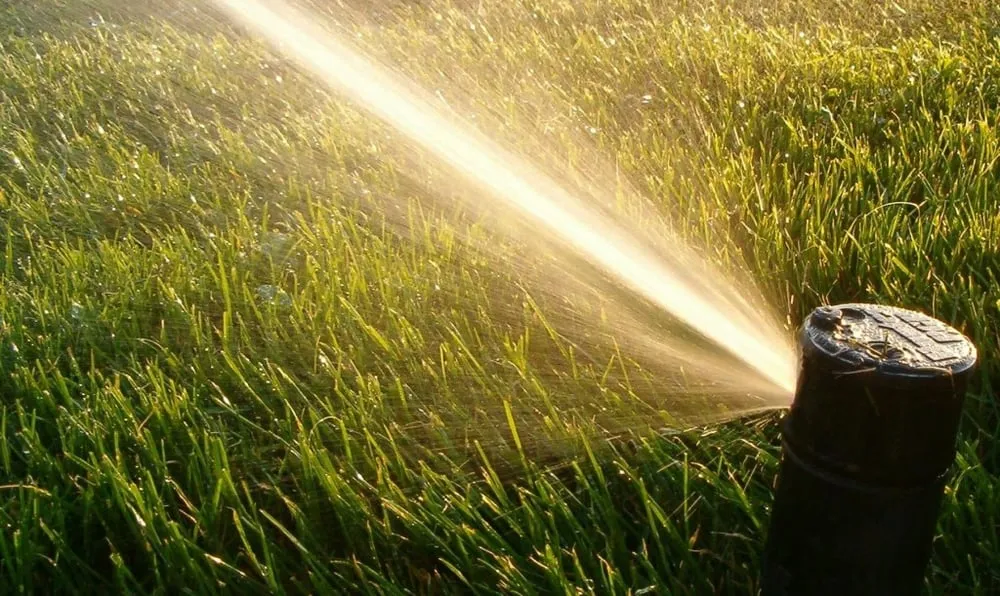 Affordable yard cleanup service in Wichita, KS - Gabe's Sprinkler Systems