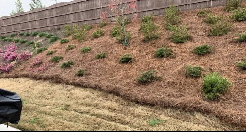 Top-rated landscaping services for outdoor upgrades across Gainesville, GA - Gabier Landscaping