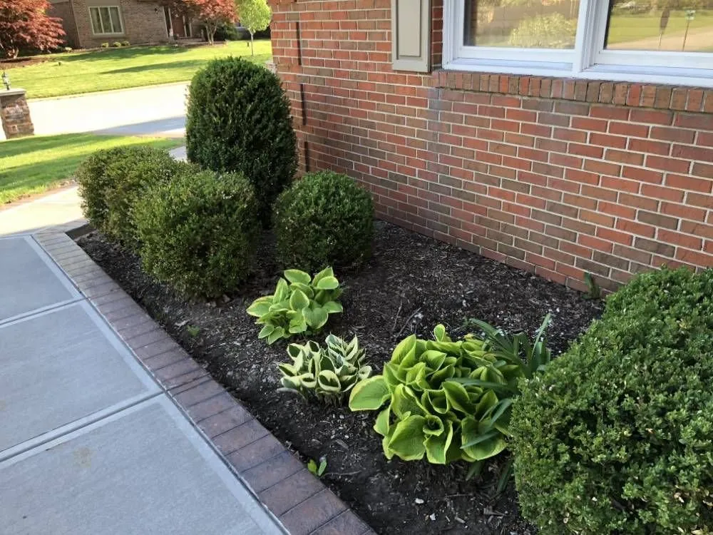 Custom yard cleanup service in Gainesville, GA by Gabier Landscaping