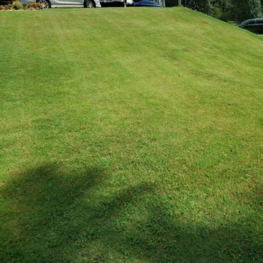 Custom outdoor landscaping for outdoor upgrades in Gainesville, GA by Gabier Landscaping