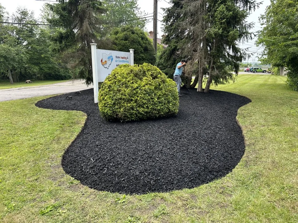 Expert yard cleanup service in Painesville, OH by Gabriel and Son