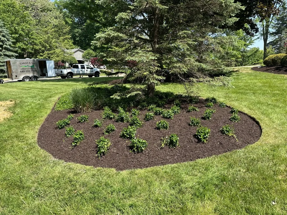 Expert landscaping services for year-round maintenance in Painesville, OH by Gabriel and Son