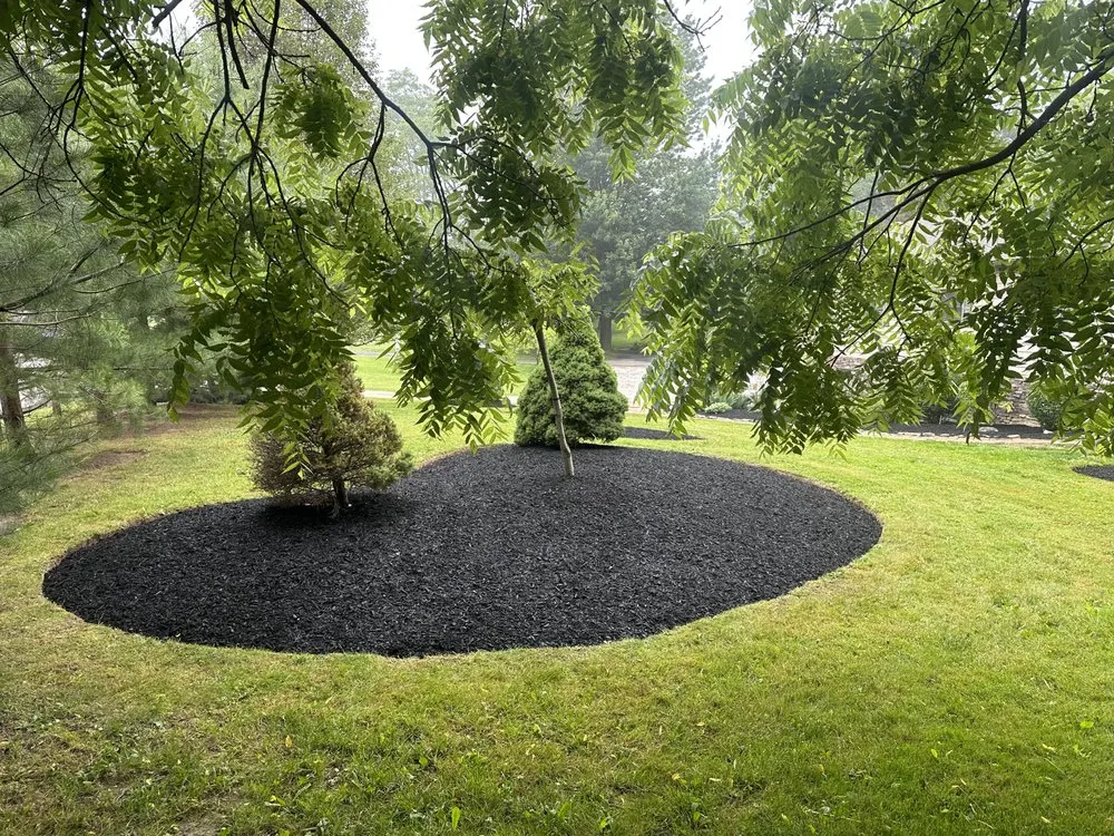Top-rated landscape design with custom design across Painesville, OH - Gabriel and Son
