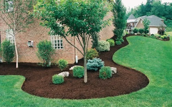 Professional garden landscaping in Bakersfield, CA by Gabriel Gardening